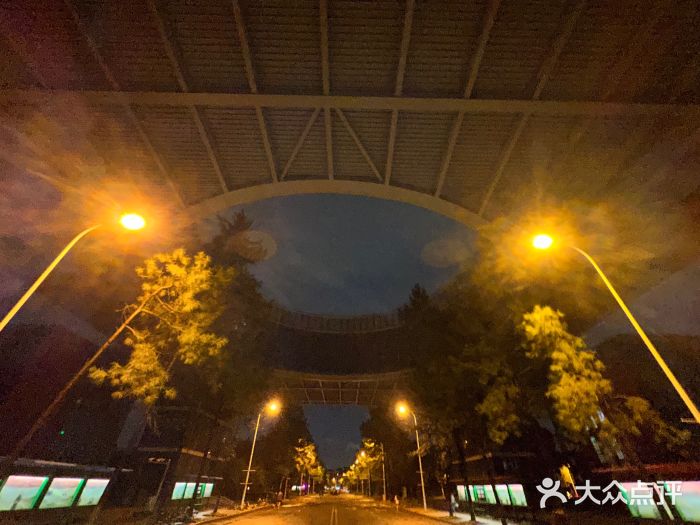 同济大学(嘉定校区)图片