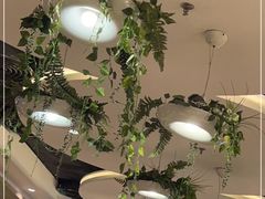 店内布置-新宝餐厅(流塘店)