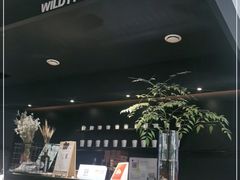 -野鸽子咖啡(航空路店)