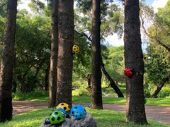 -人民公园(罗湖区)