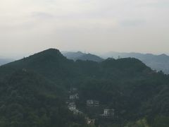 -大金鹰园