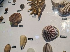 -海合安青岛极地海洋公园