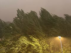 -黑龙江省森林植物园