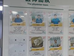 -瑞派先诺宠物医院•猫专科•普外科•中兽医(佛山院)