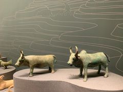 -广西壮族自治区博物馆