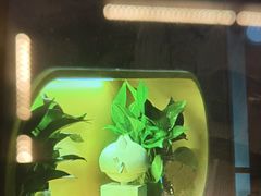 -梵猫·新养生(加州广场店)
