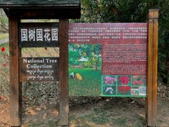 -中国科学院西双版纳热带植物园