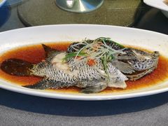 清蒸珍珠斑-碧丽宫大酒店(召稼楼店)