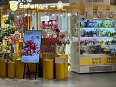 -合景·悠方(成都店)