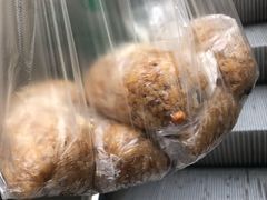 -六广门毛阿姨糯米饭