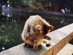 -西园戒幢律寺