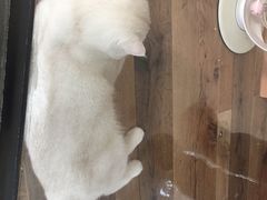 -袖虎·猫馆(体育西路店)