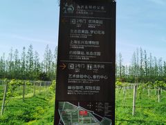 -上海长兴岛郊野公园