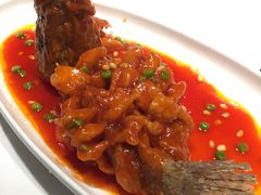 松鼠大桂鱼-绿波廊(豫园店)
