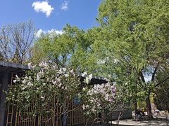 -南长河公园