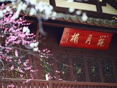 -杭州植物园