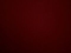 -巢爷老味(东方红店)