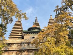 -北京石刻艺术博物馆(五塔寺)