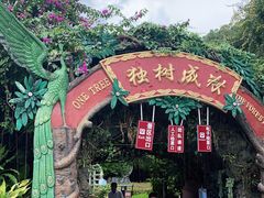 -瑞丽独树成林风景区