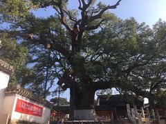 -新安江山水画廊风景区