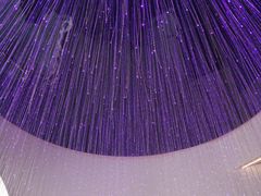 -赵小姐丨新中餐(曲江店)