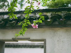 -惠山古镇·寄畅园