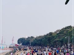 -南沙蒲洲花园