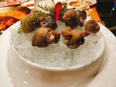 肥肠结-大龙燚火锅