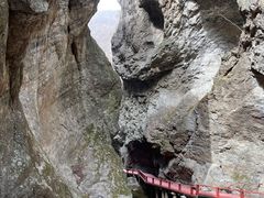 -牛背梁国家森林公园