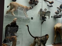 -国家自然博物馆