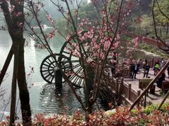 -重庆彩云湖湿地公园