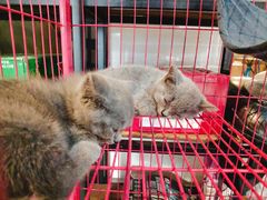 -第三空间·趣味桌游·轰趴.室内CS.剧本杀(大武汉1911店)