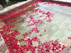 -天目湖涵田半山温泉