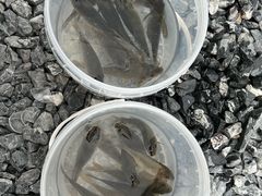-DGE季风钓虾营地·团建·聚会