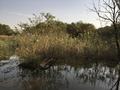 -西湖风景区-江洋畈生态公园
