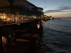 -Fish Hopper