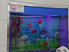 -雅悦齿科(顾村公园店)