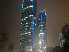 -演武大桥观景平台