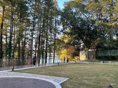 -白云湖畔酒店-湖畔餐厅