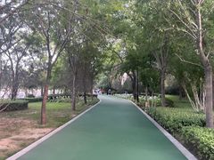-迎泽公园