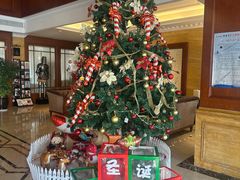 -翰尔酒店(苏州金鸡湖国际博览中心店)