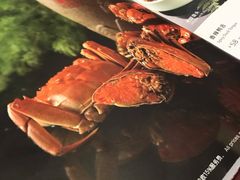 -新光酒家·河豚·海鲜·蟹料理(浦东店)
