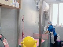 -宠福鑫康馨动物医院·骨科·眼科