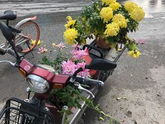 -西北湖绿化广场