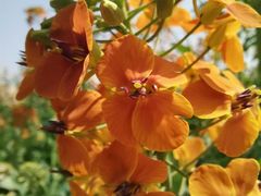 -中国天府农业博览园