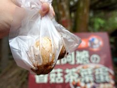 -日月潭
