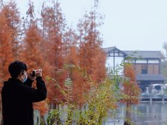 -白鹭湾湿地公园