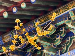 -潭柘寺景区