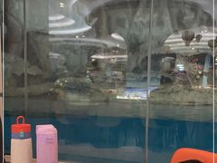 -帝企鹅自助餐厅•儿童岛•真企鹅(长隆企鹅酒店)