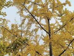 -迎泽公园